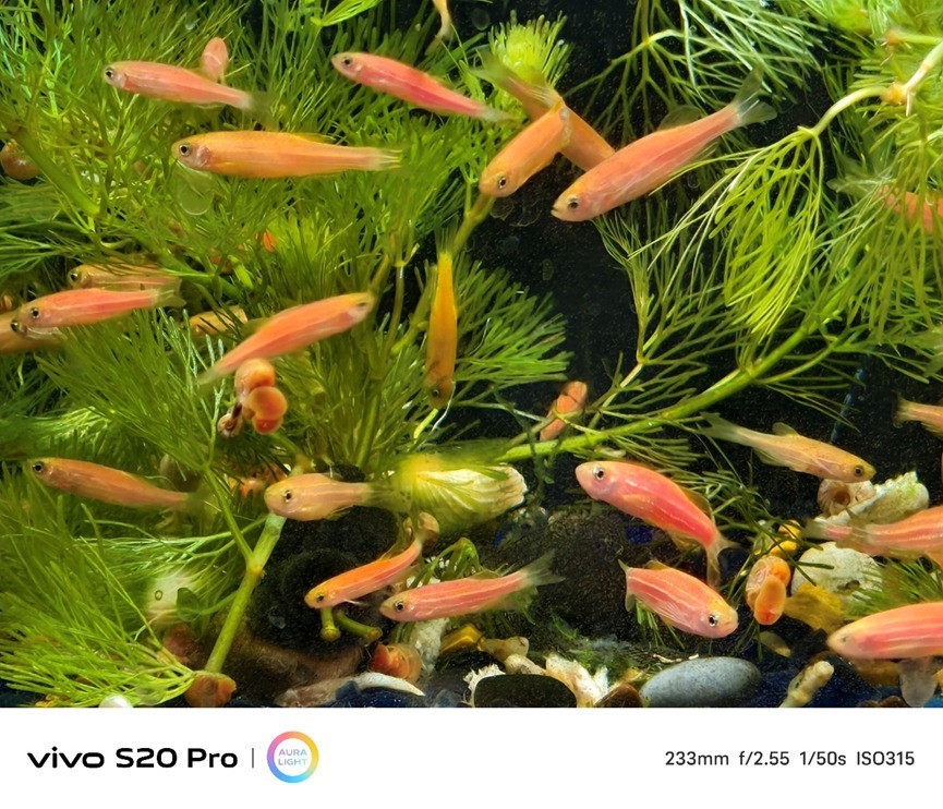 vivo S20 Pro全面评测：猛料狂堆，轻薄紧追