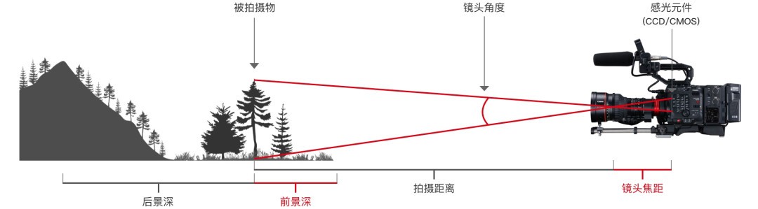 选35mm舍一英寸 2025影像旗舰为何转向？