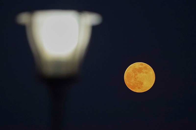 △1月3日，山东省青岛市西海岸新区，2026年首个“超级月亮”从天空的东北部冉冉升起。