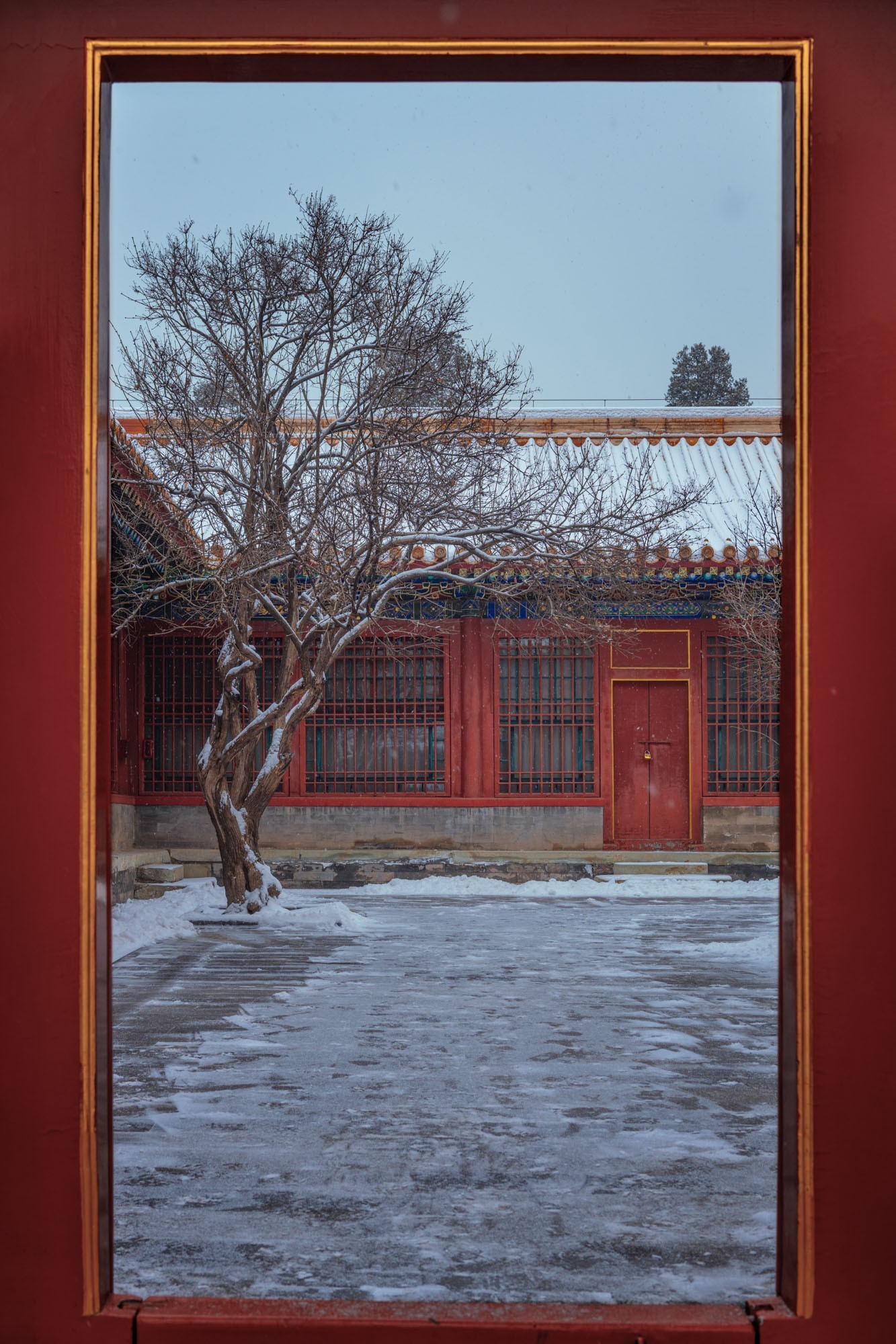 记录北京初雪的浪漫 雪天风光拍摄指南