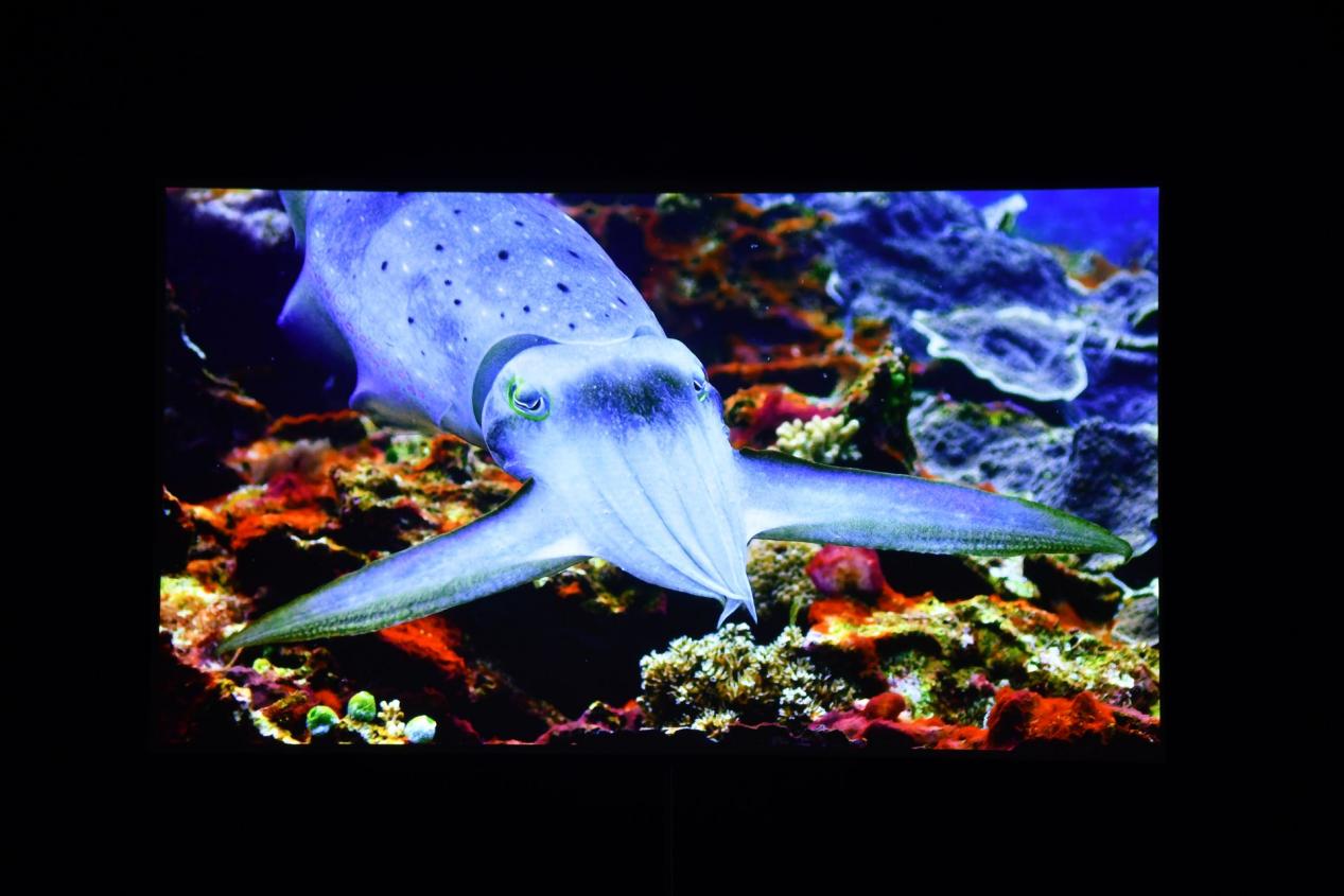 4K激光巨幕！优派LX720-4KC深度评测：观影游戏双巅峰