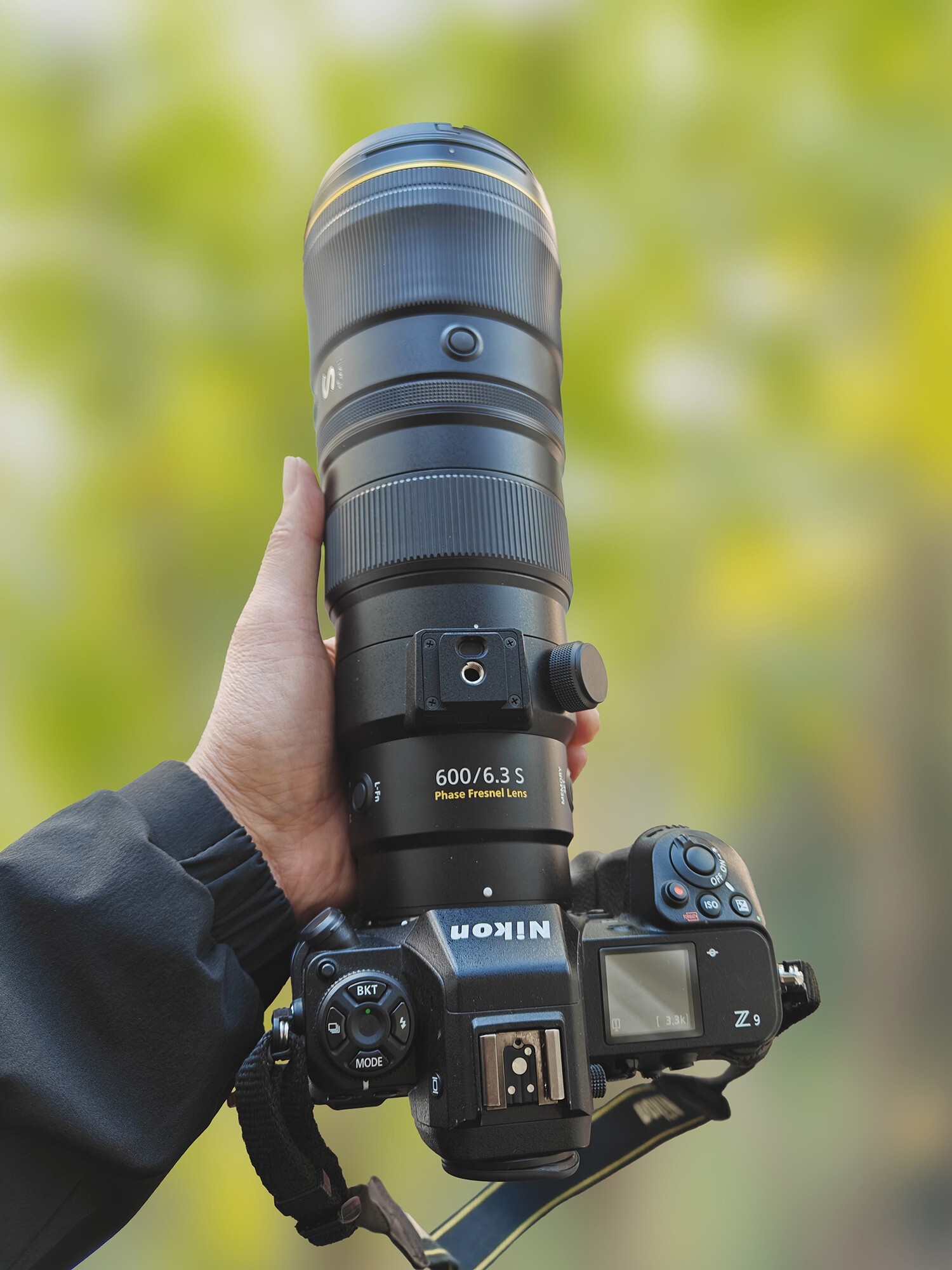 记录鸟飞翔的瞬间 尼康Z9+Z600mm f/6.3 VR S镜头生态摄影体验