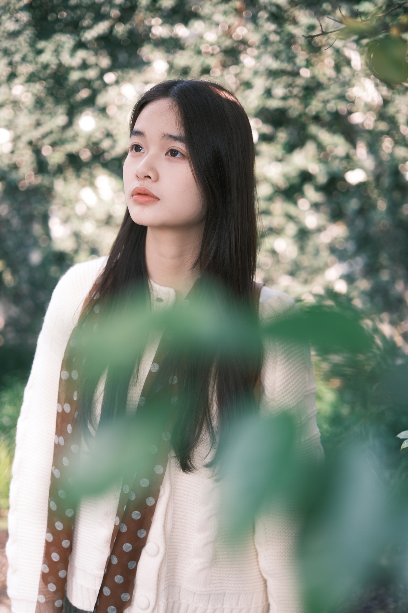 轻巧随行 画质出众 富士X-T50摄影体验