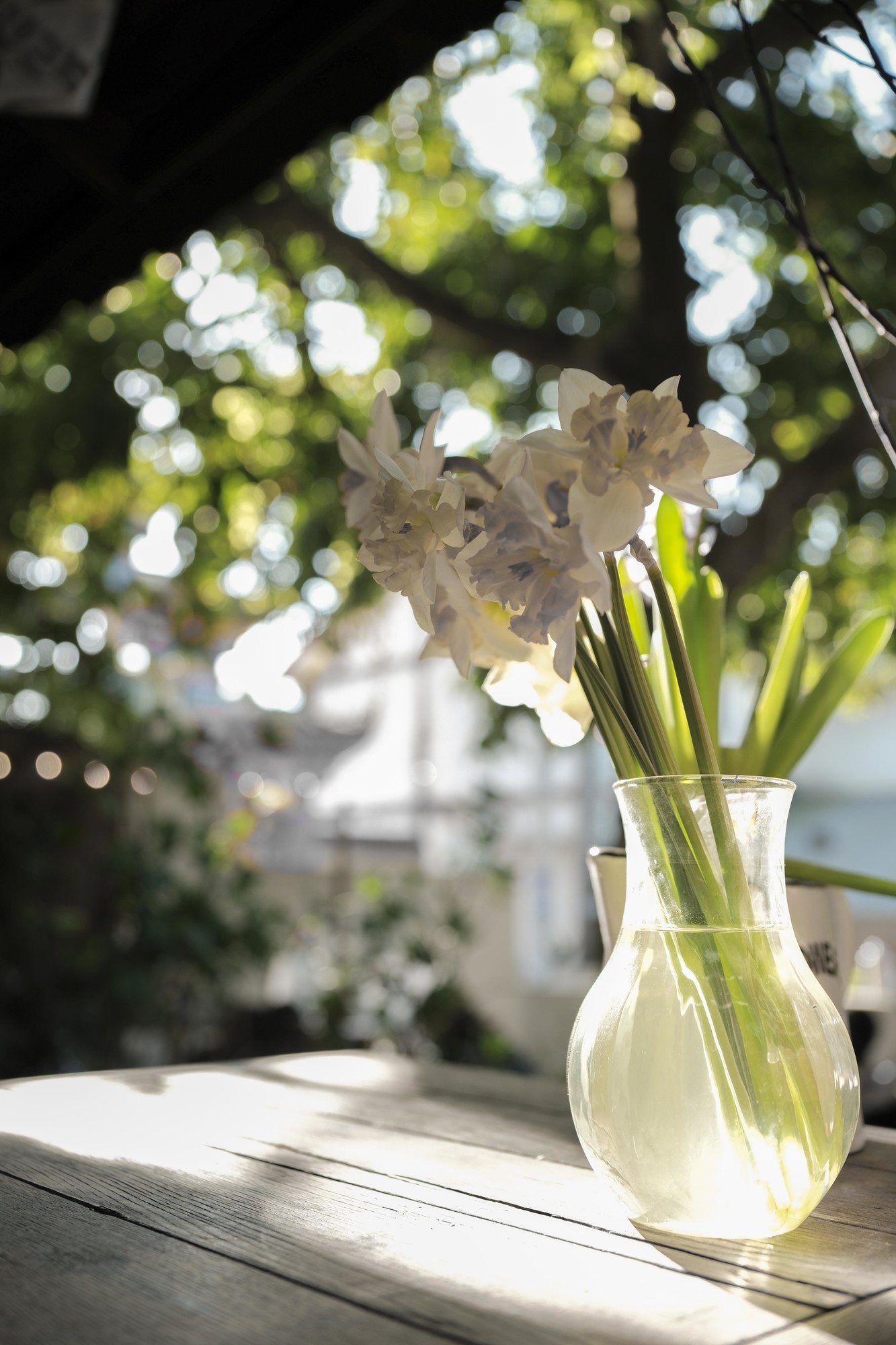 轻巧随行 画质出众 富士X-T50摄影体验