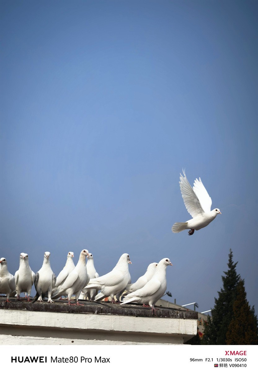 华为 Mate 80 Pro Max风驰版全面评测:把风吹进旗舰