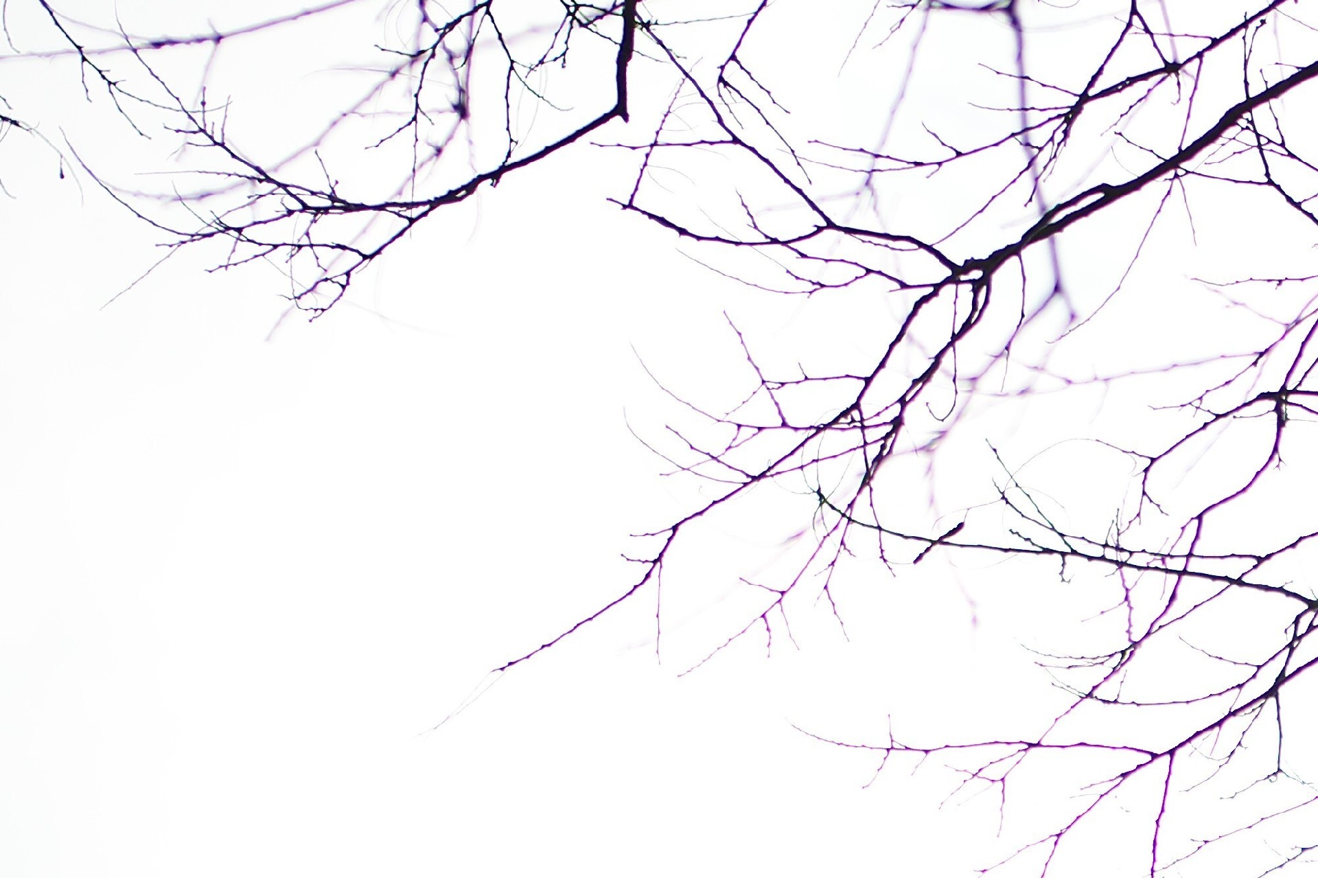 72800元徕卡新夜神 徕卡Noctilux-M 35mm f/1.2 ASPH.镜头拍摄体验