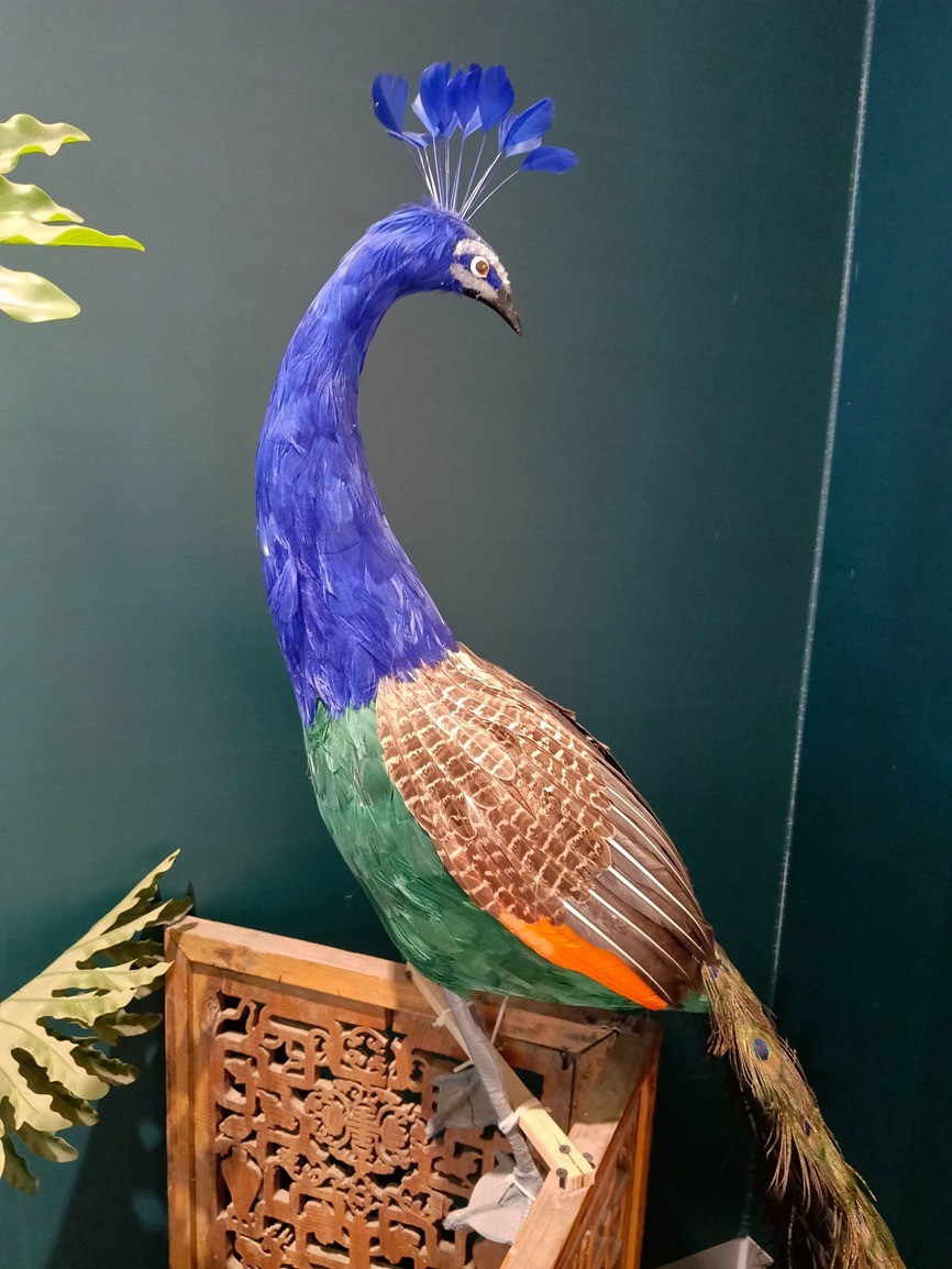 OPPO A6s Pro上手体验：流畅+抗造我全都要