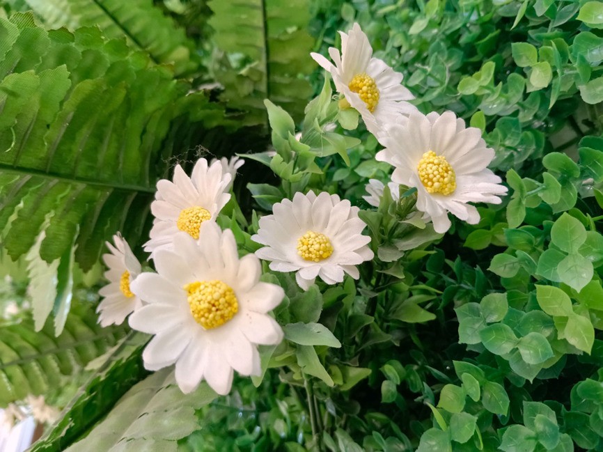 OPPO A6s Pro上手体验：流畅+抗造我全都要