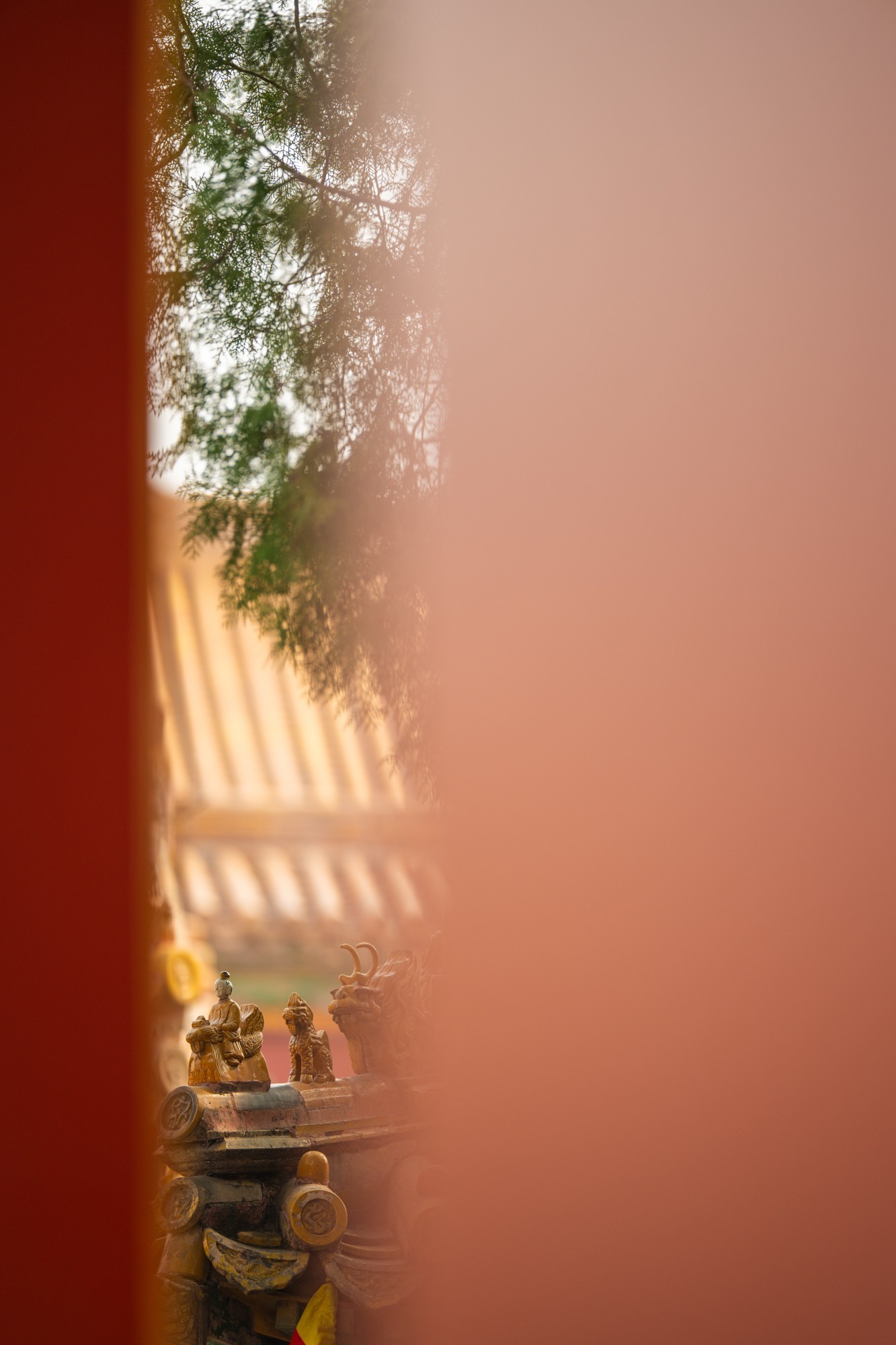 更轻 更强 尼克尔 Z 70-200mm f/2.8 VR S II镜头体验评测