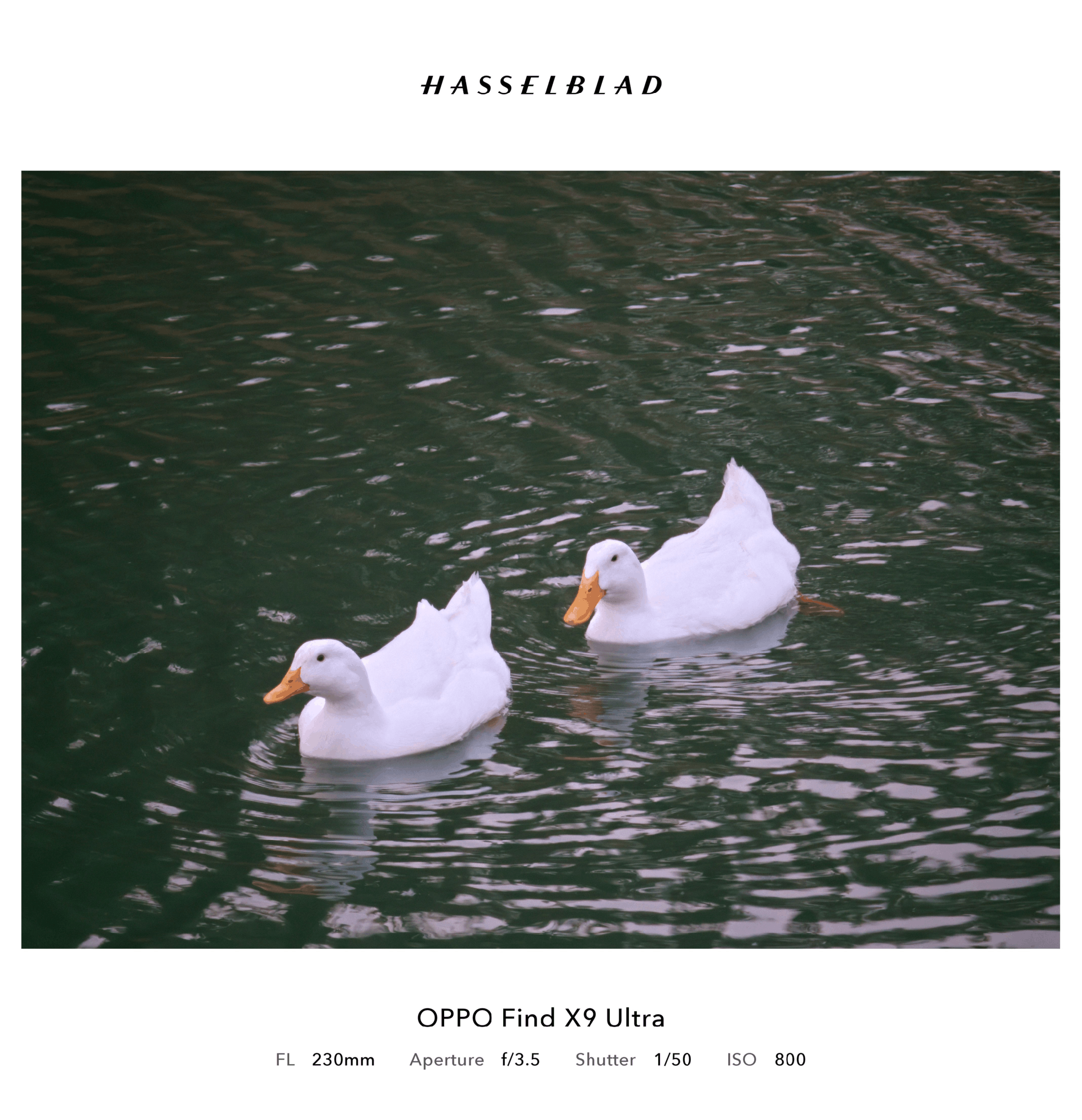 「内置增距镜」？OPPO Find X9 Ultra 哈苏10倍光变天眼长焦解析